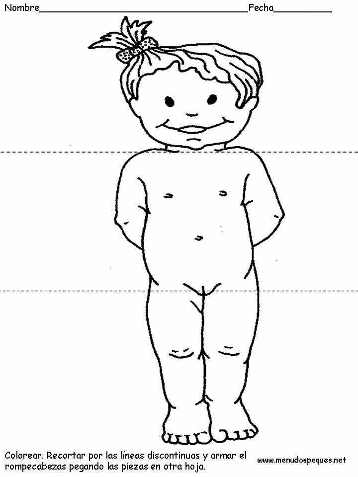 dibujos del cuerpo humano para armar y recortar dibujos del cuerpo humano para armar y recortar